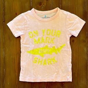 Boys JCrew Crewcuts Tee Size 4/5
